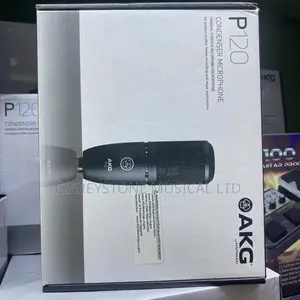 AKG Studio Mic P120