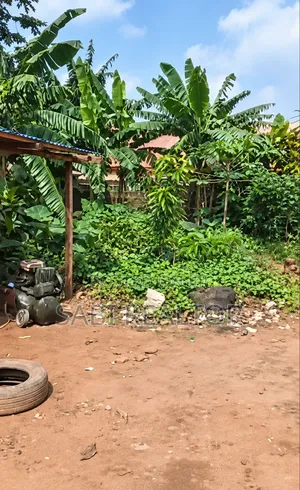 3 Plots of Land at Ishefun Ayobo Suitable for Commercial Purpose