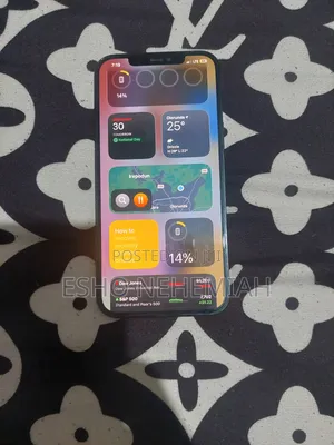 Apple iPhone 12 Pro Max 512 GB Silver