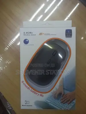 Wireless Optical Mouse