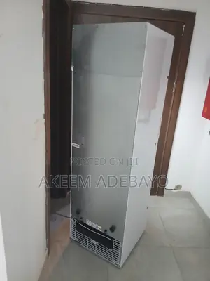 Hisense 222L Showcase Refrigerator