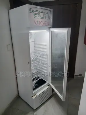 Hisense 222L Showcase Refrigerator