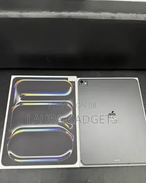 Apple iPad Pro 13 (2024) 256 GB Gray