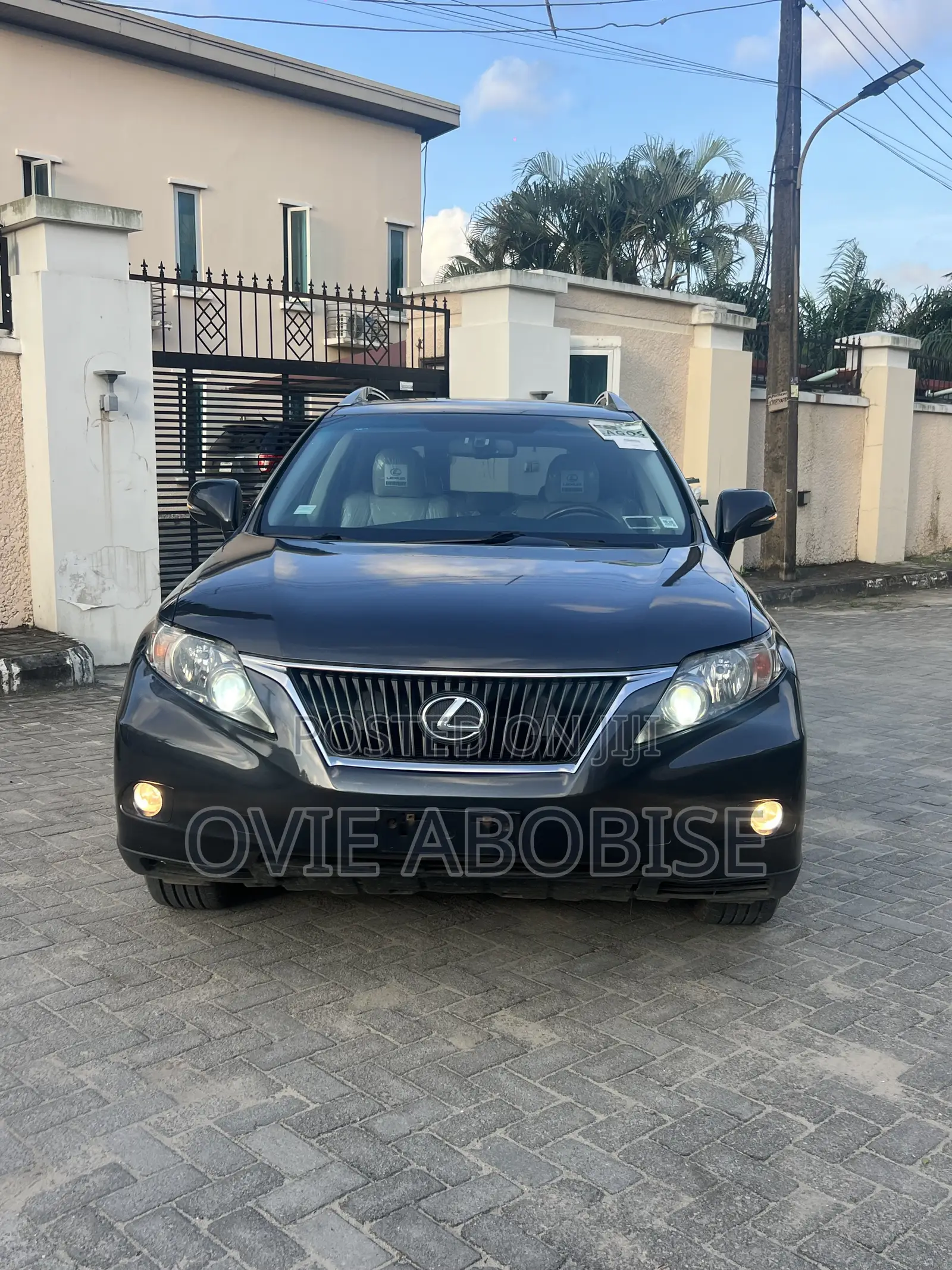Lexus RX 2010 Gray