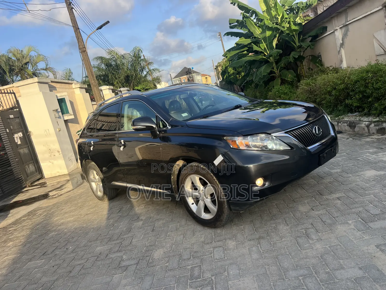 Lexus RX 2010 Gray