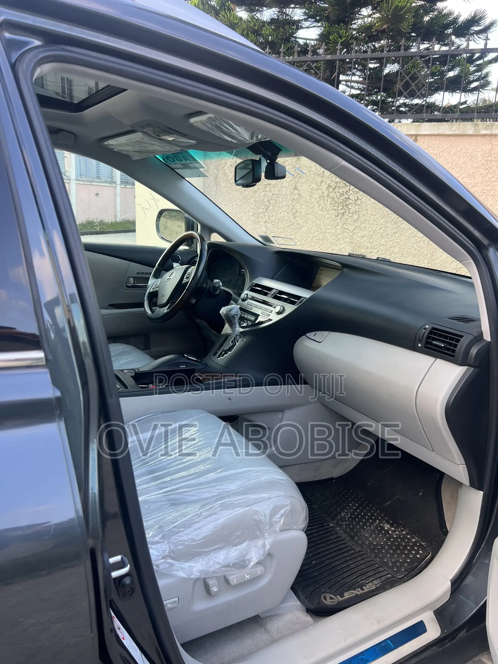 Lexus RX 2010 Gray