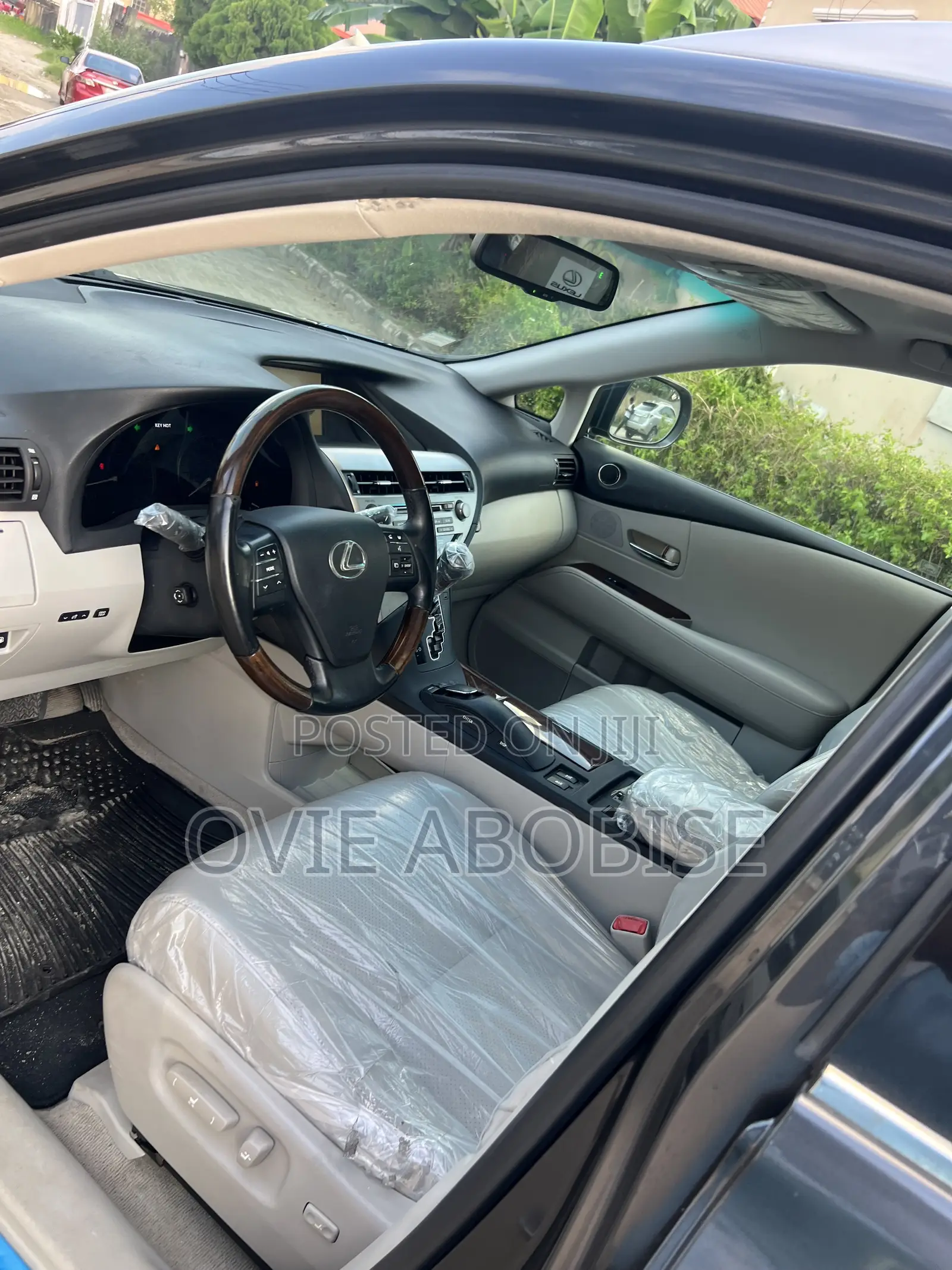 Lexus RX 2010 Gray
