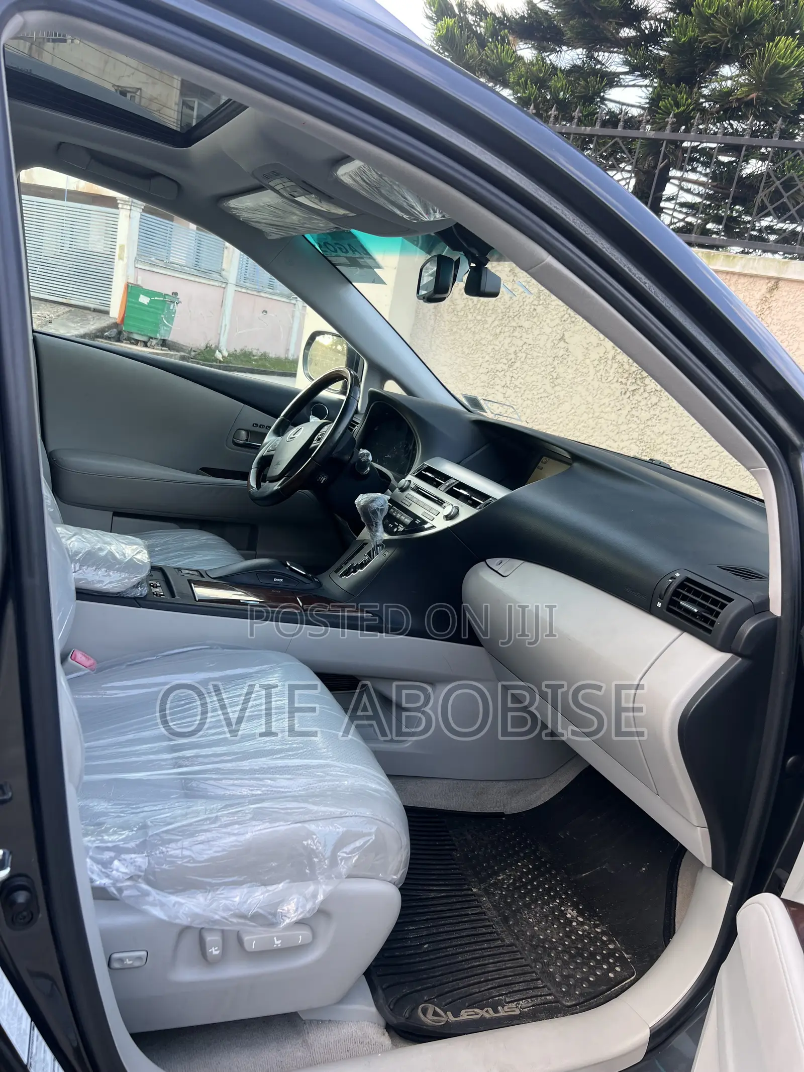 Lexus RX 2010 Gray