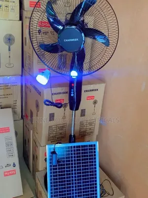 Standing Fan