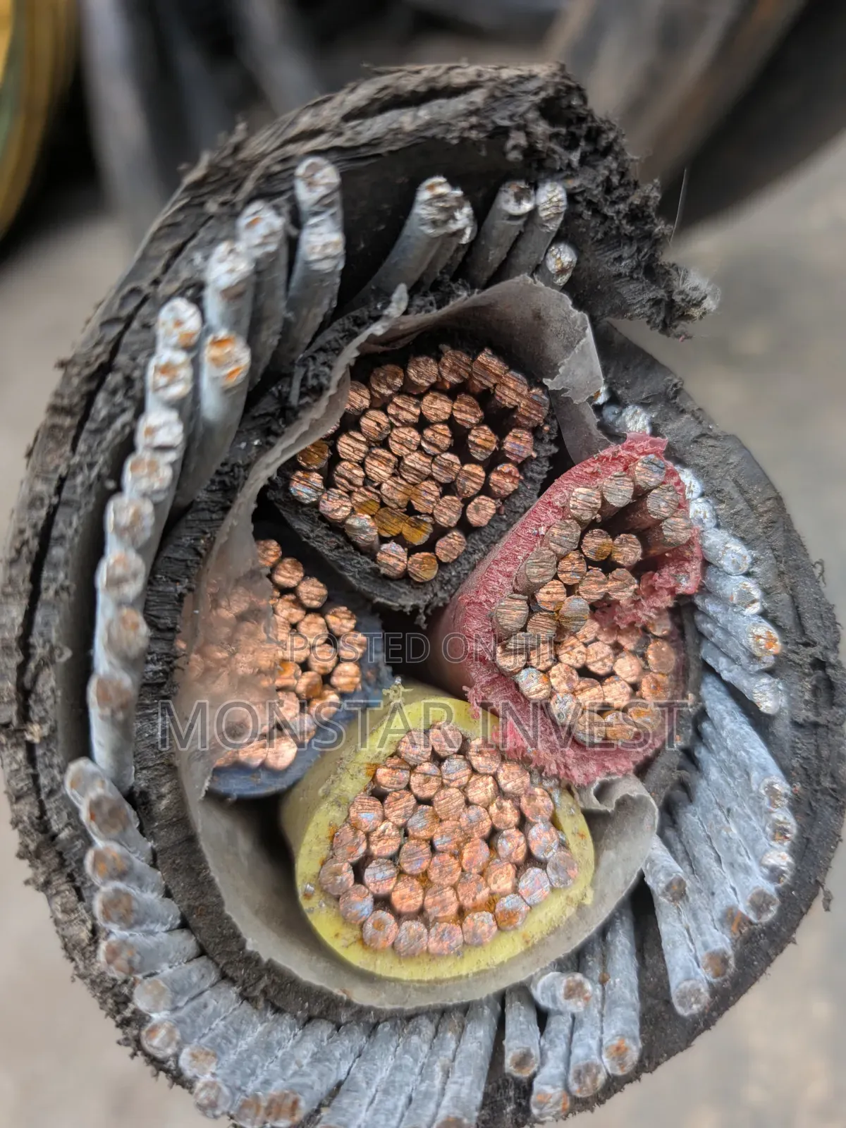 Armored Cable Niger Chin