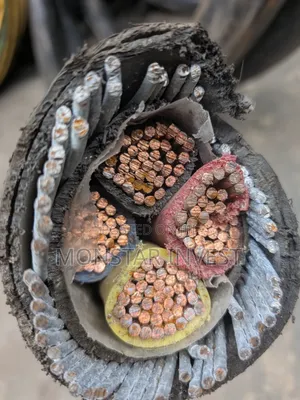 Armored Cable Niger Chin