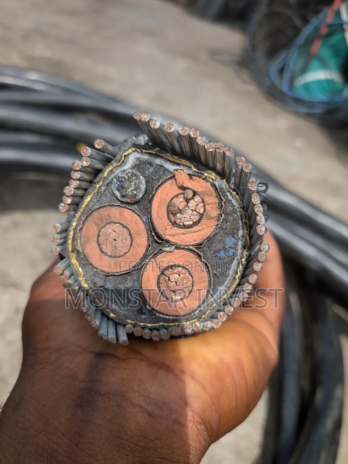 Armored Cable Niger Chin