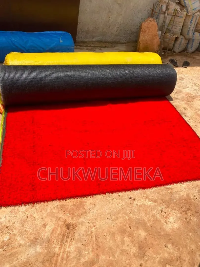 Thick Luxury Carpets for Sitting Rooms, Bedroom and Shops