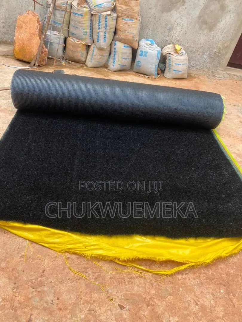 Thick Luxury Carpets for Sitting Rooms, Bedroom and Shops