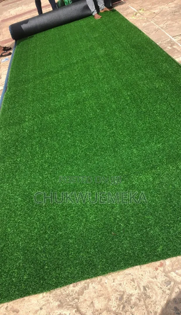 Thick Luxury Carpets for Sitting Rooms, Bedroom and Shops
