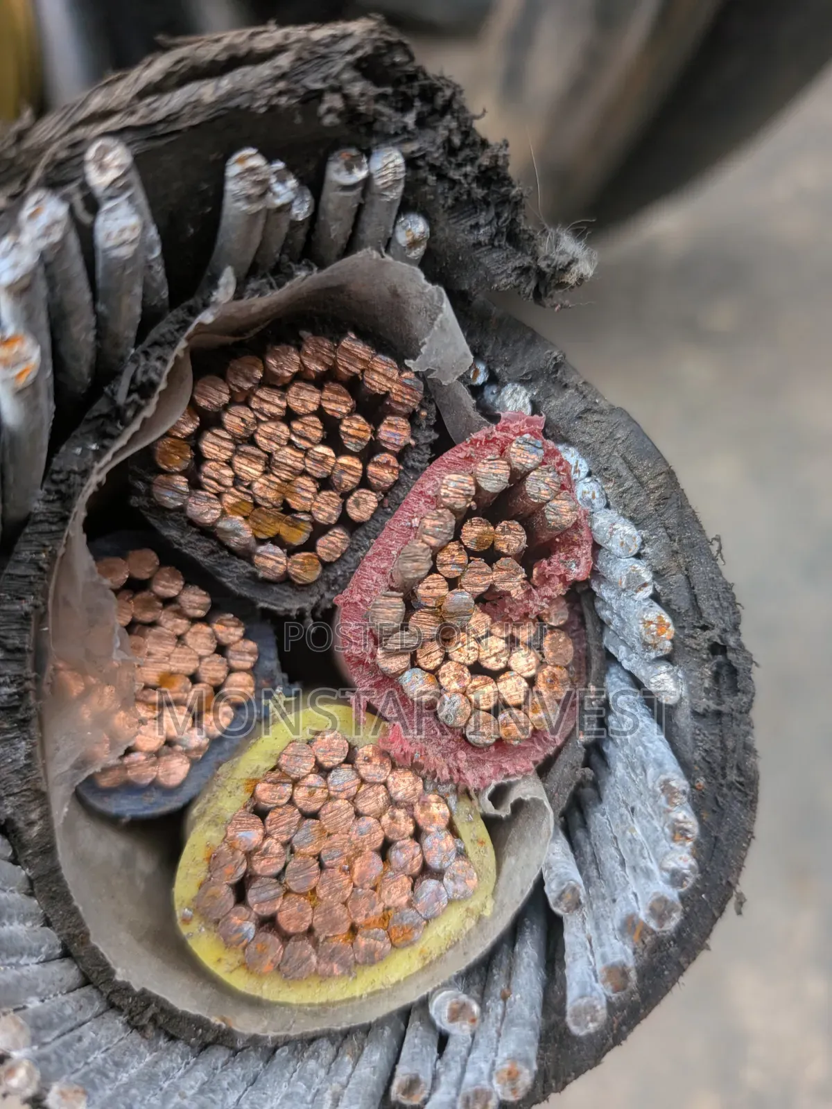 Armored Cable Original Ekectrical Cable