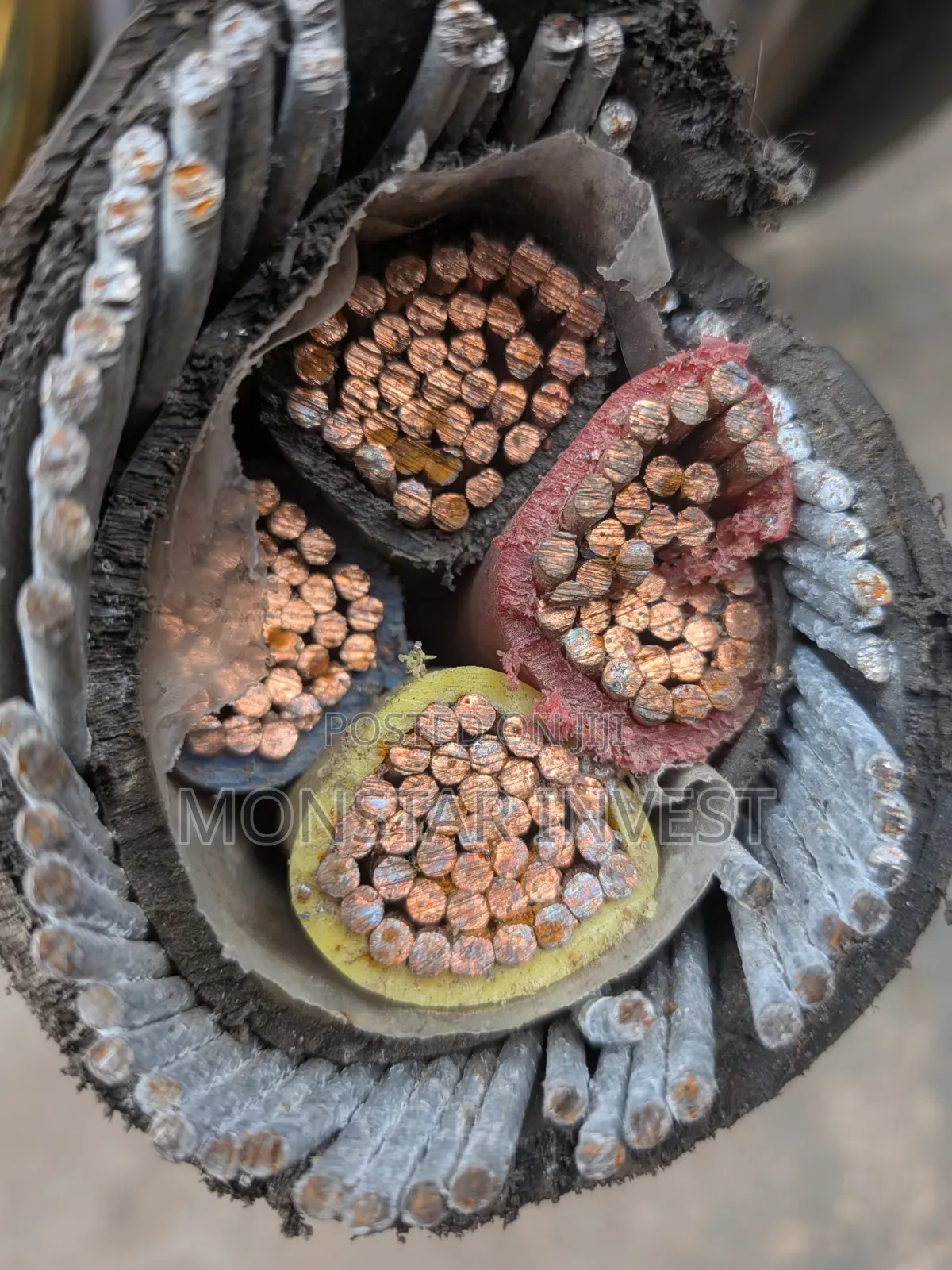 Niger Chin Armored Cable 4core