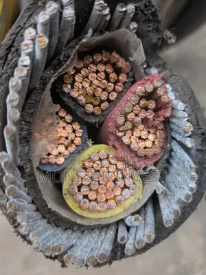 Niger Chin Armored Cable 4core