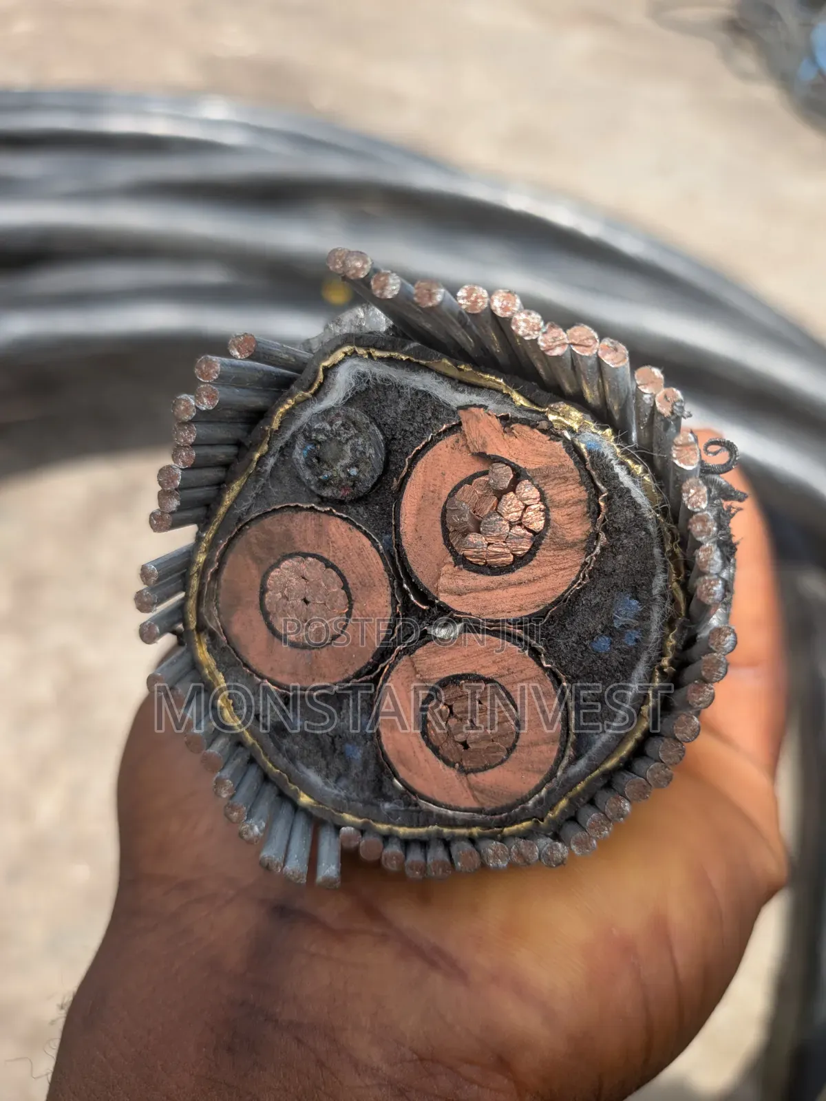 Niger Chin Armored Cable 4core