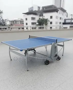 Big Tyre Outdoor Table Tennis Board With Accessories
