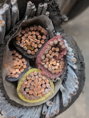....... Original 4core Niger Chin Armored Cable