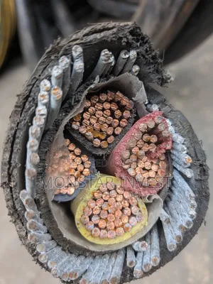 4core Armored Cable Niger Chin
