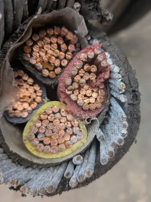 4core Armored Cable Niger Chin
