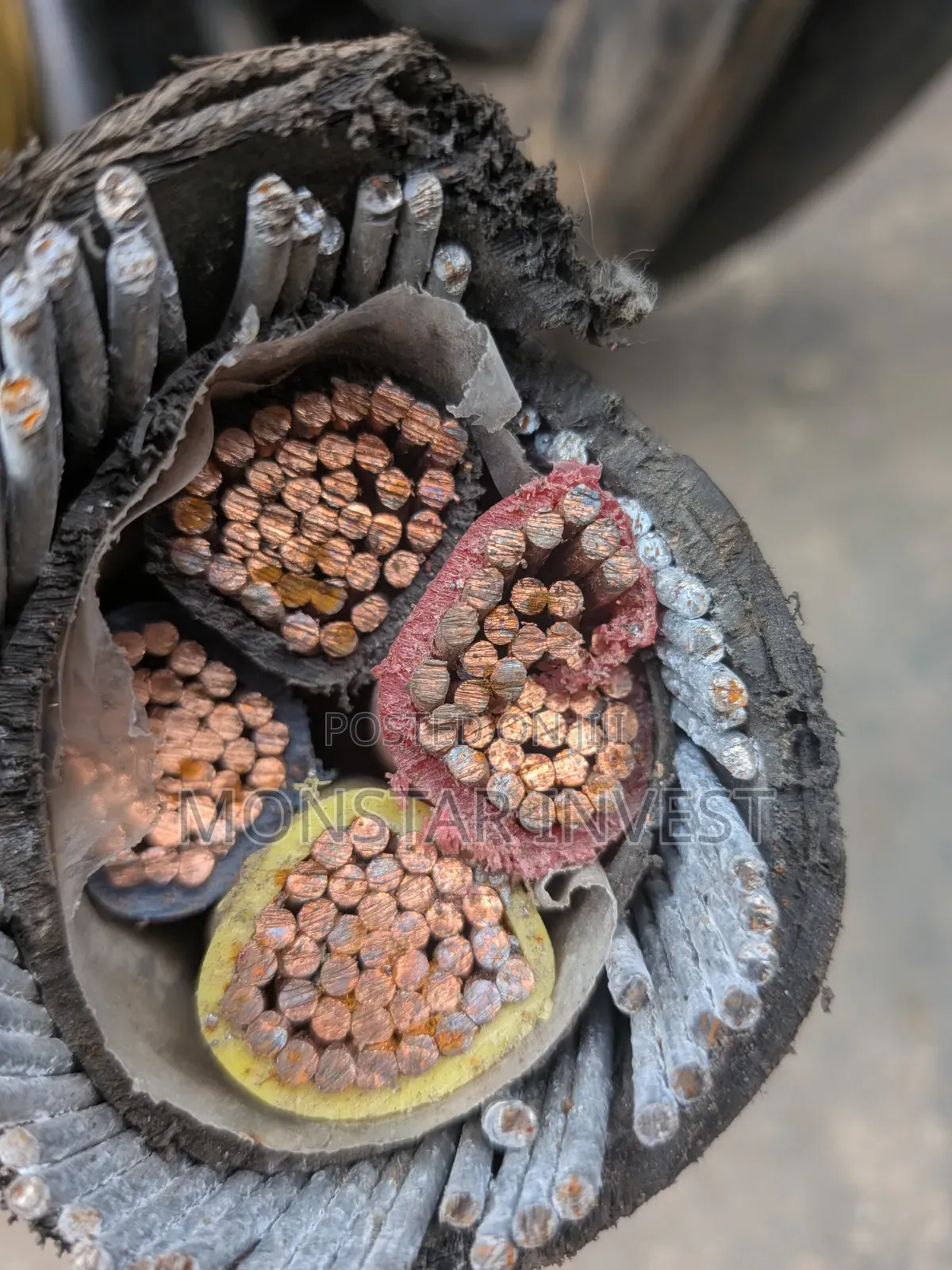 4core Niger Chin Armored