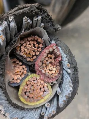 4core Niger Chin Armored