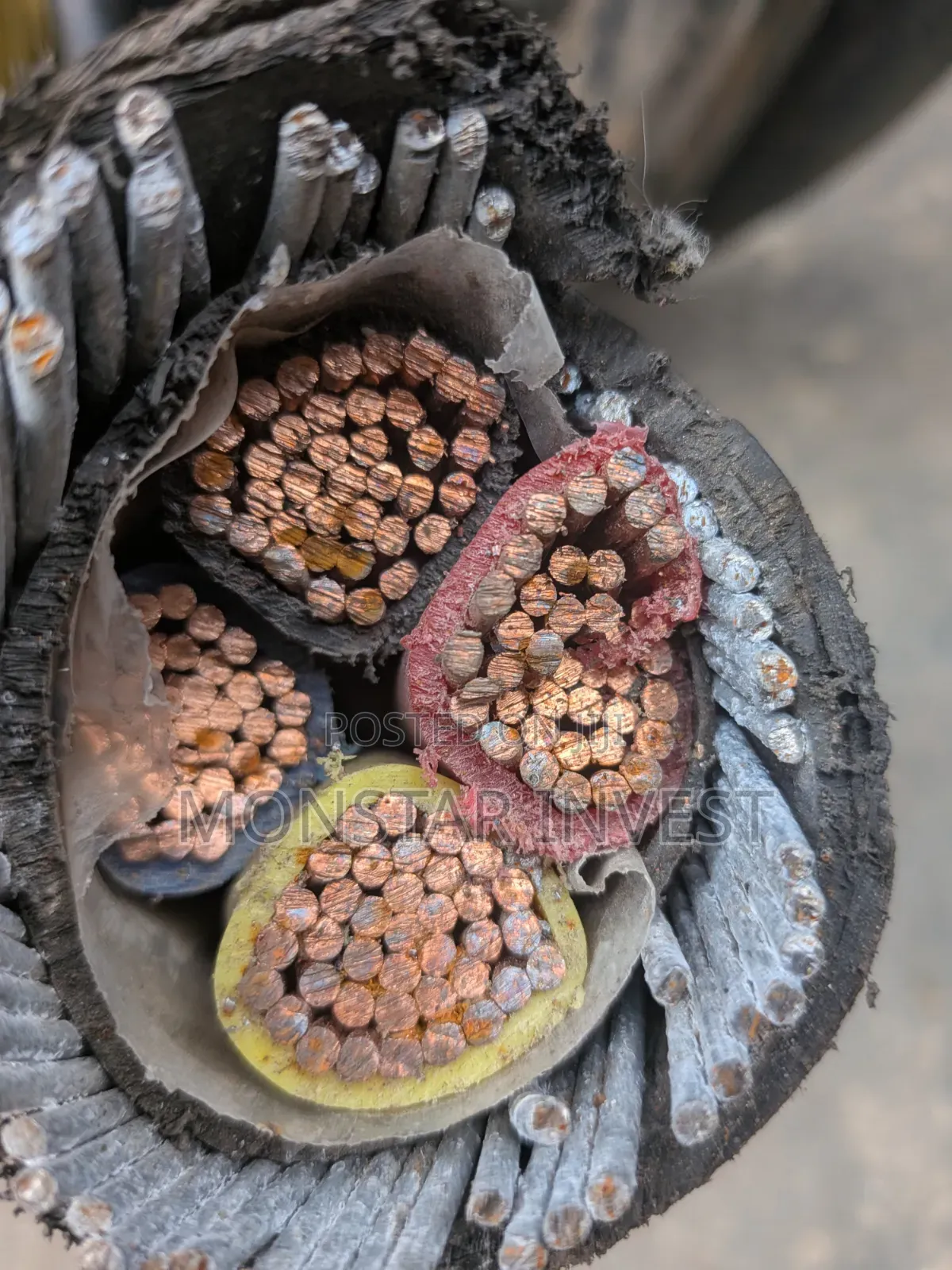 4core Niger Chin Armored