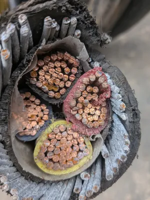 4core Niger Chin Armored