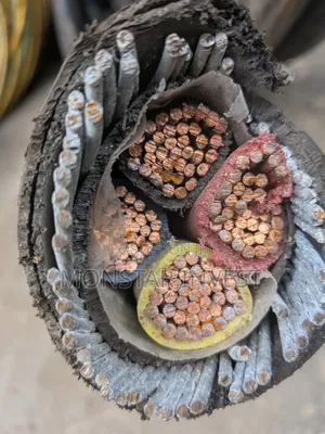 4core Niger Chin Armored