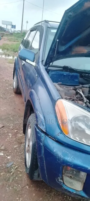 Toyota RAV4 2005 Blue