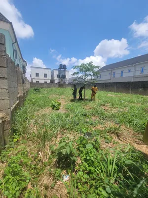 Half Plot for Sale at Ayobo