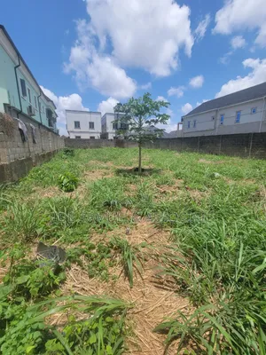 Half Plot for Sale at Ayobo