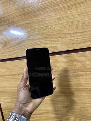 Apple iPhone 12 Pro Max 256 GB White