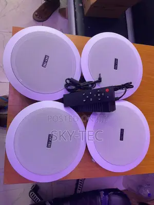 Sky-Tec 50watts 4 in 1 Bluetooth Ceiling Speakers With Remote Control