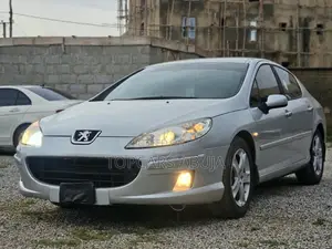 Peugeot 407 2007 Silver
