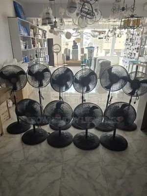 Fan (Standing)