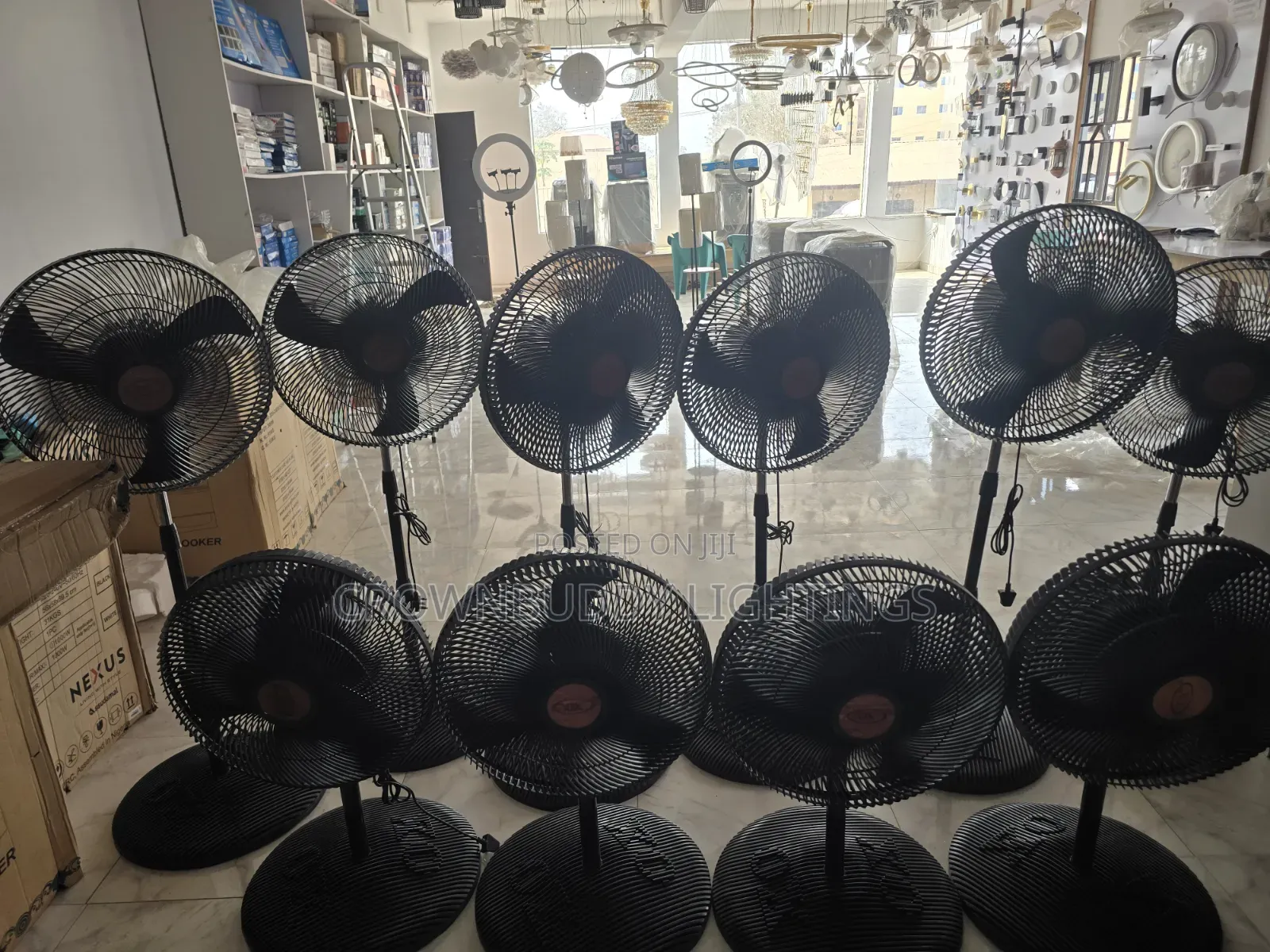 Fan (Standing)