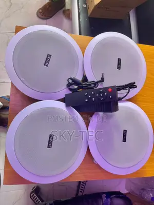 Sky-Tec 50watts 4 in 1 Bluetooth Ceiling Speakers With Remote Control