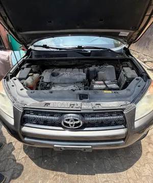 Toyota RAV4 2010 Gray