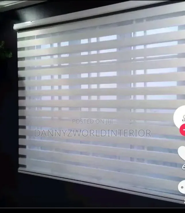 Day and Night Window Blinds