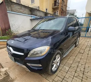 Mercedes-Benz M Class 2013 Blue