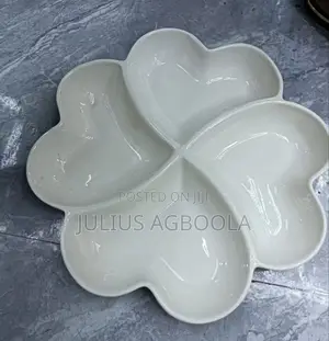 High Quality 10inches 4 Partition Ceramic Plate CTN of 30pc