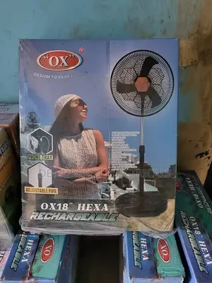 Roof Fan and Standing Ox Fan