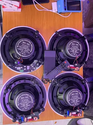 Sky-Tec 100watts 4 in 1 Bluetooth Ceiling Speakers With Remote Control