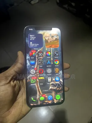 Apple iPhone 12 Pro Max 128 GB Black
