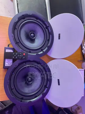 Sky-Tec 100watts 2 in 1 Bluetooth Ceiling Speakers With Remote Control