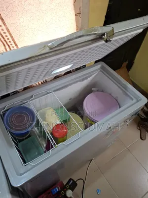 Skyrun Freezer 200l